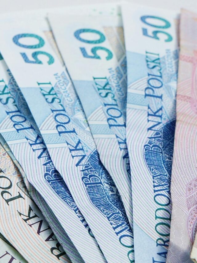 pln cash in close up view